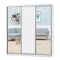 Шафа-купе (1900-2700*450*2400)  дсп/дзеркало/дзеркало