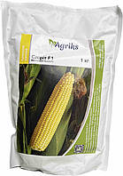 Кукуруза сахарная Спирит F1 1 кг Агрикс