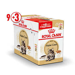 Royal Canin (Роял Канін) Maine Coon Adult (шматочки в соусі) для кішок породи мейн-кун старше 15 мес 12 шт