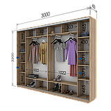 Шафа-купе (2800-3600*450*2200) дсп/дсп/дсп/дзеркало, фото 7