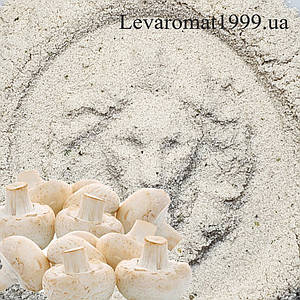 Ароматизатор Гриби 1303