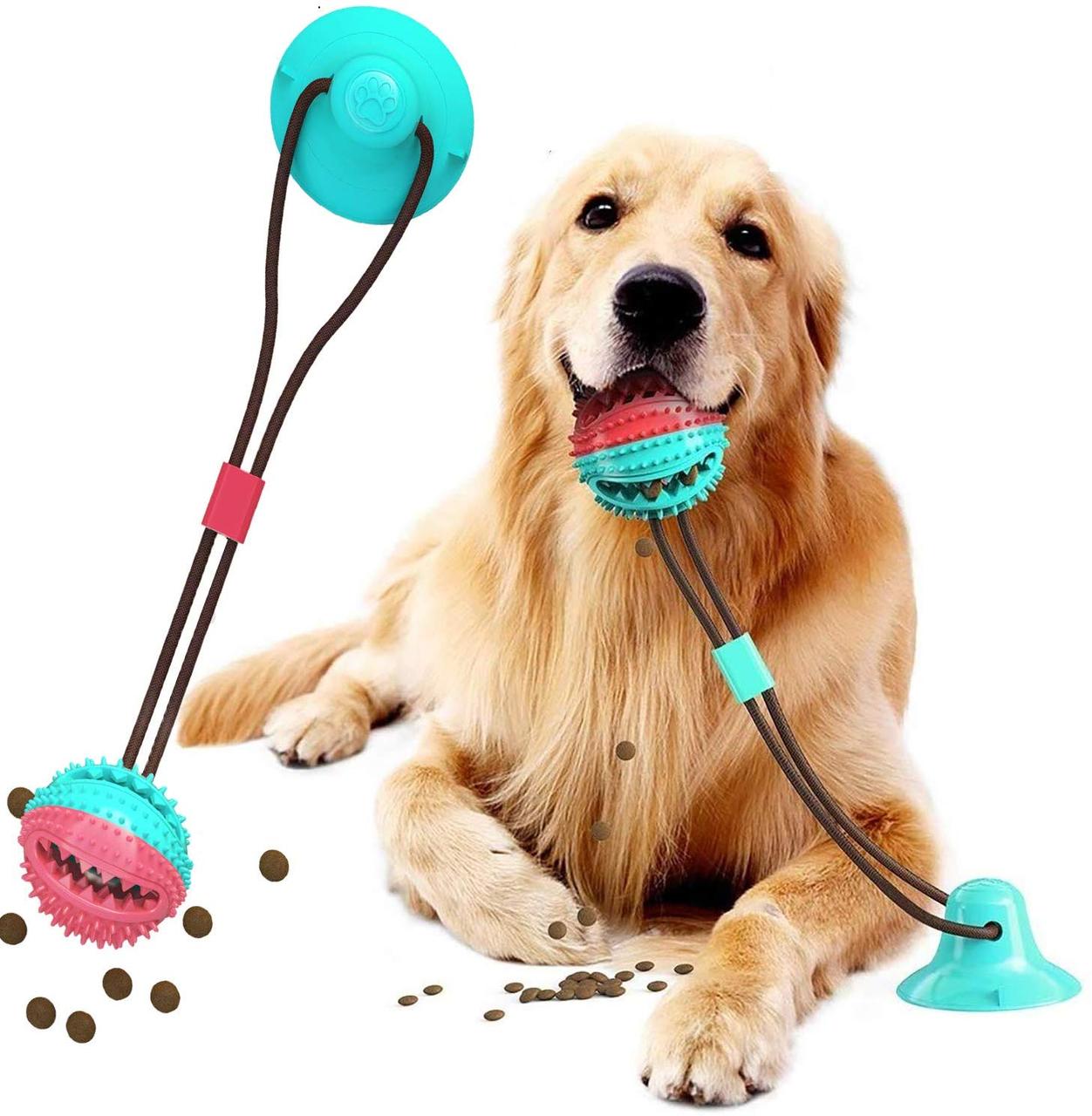 Іграшка для собак М'яч на мотузці канат на присосці М'ячик під корм Іграшки для домашніх тварин жувальна