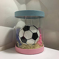 Мяч для Гендер Пати. Пластиковый футбольный мяч с краской. Gender Reveal Party