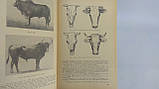 Борисенко Е. Я. Розведення сільськогосподарських тварин. Б/у., фото 7