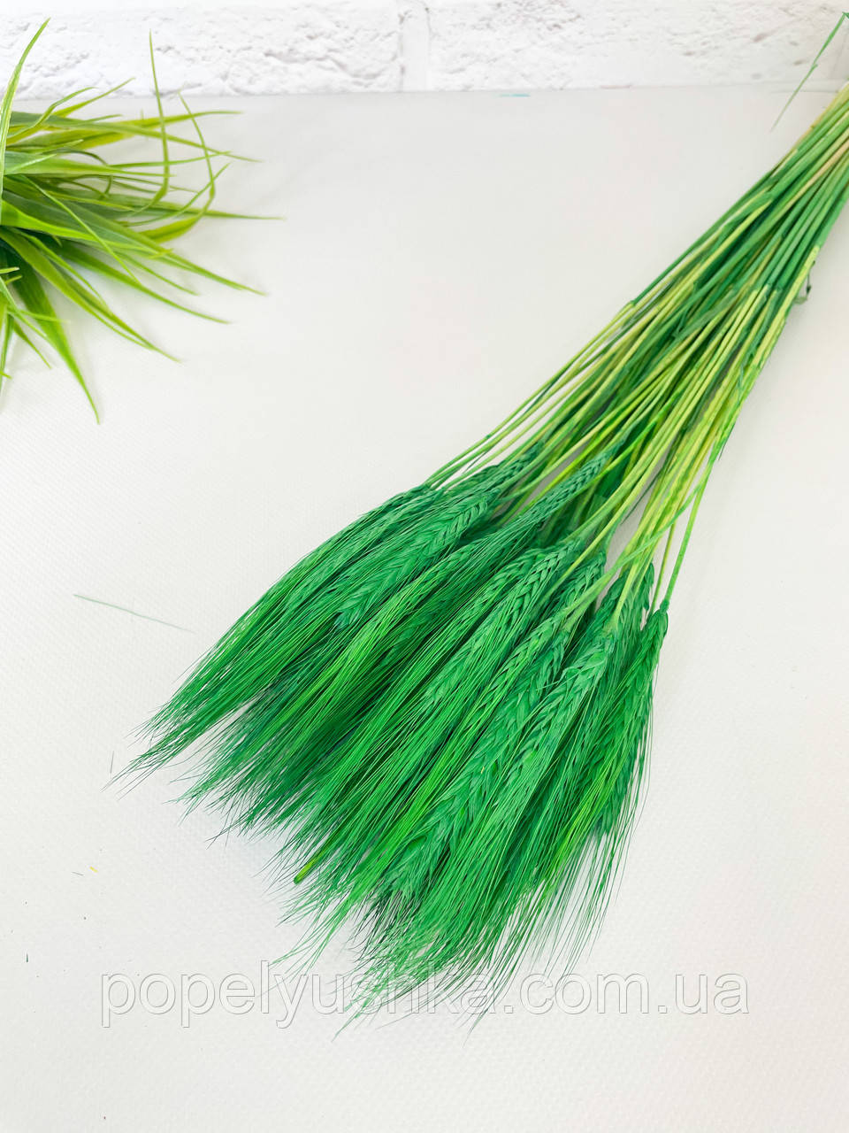 Пшениця натуральна зелена, фото 1