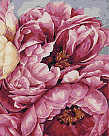 Картина Рисование по номерам Цветение пионов 40x50 Картины в цифрах на холсте Цветы Brushme BS40543