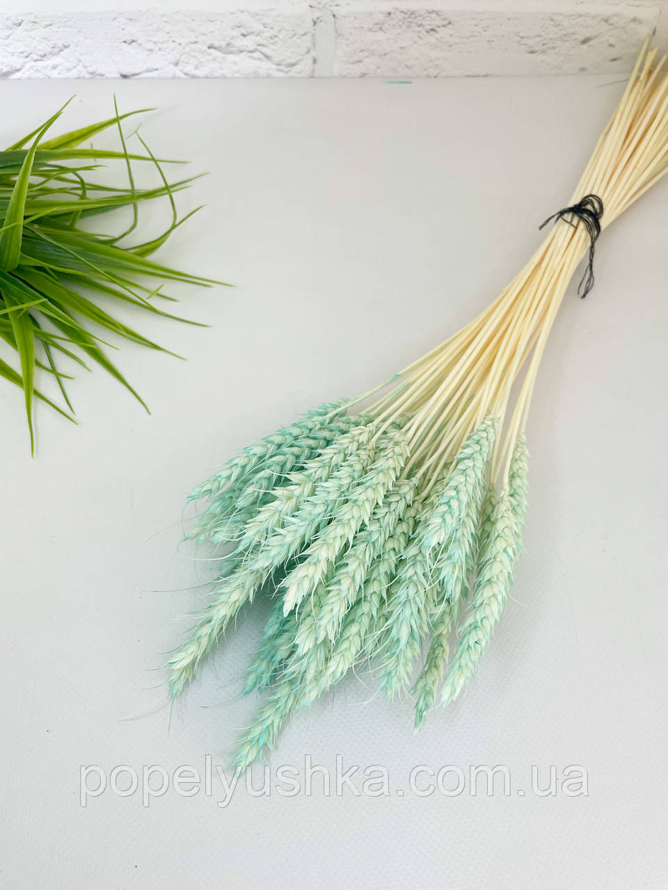 Пшениця безоста натуральна тифані, фото 1