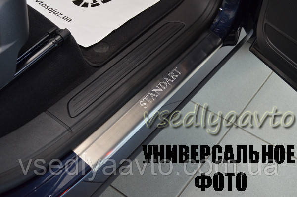 Захист порогів - накладки на пороги Hyundai ACCENT III 3 дверкас 2006 р. (Standart)