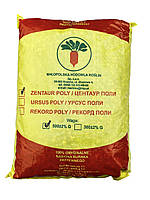 Буряк кормовий Центаур Полі 500 г