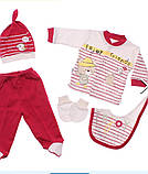 Подарунковий набір на виписку для новонародженого. Miniworld, фото 5