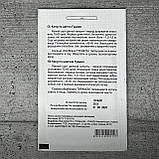 Капуста Цвітна Гудмен 20 шт насіння пакетоване Bejo Zaden Агропак, фото 2