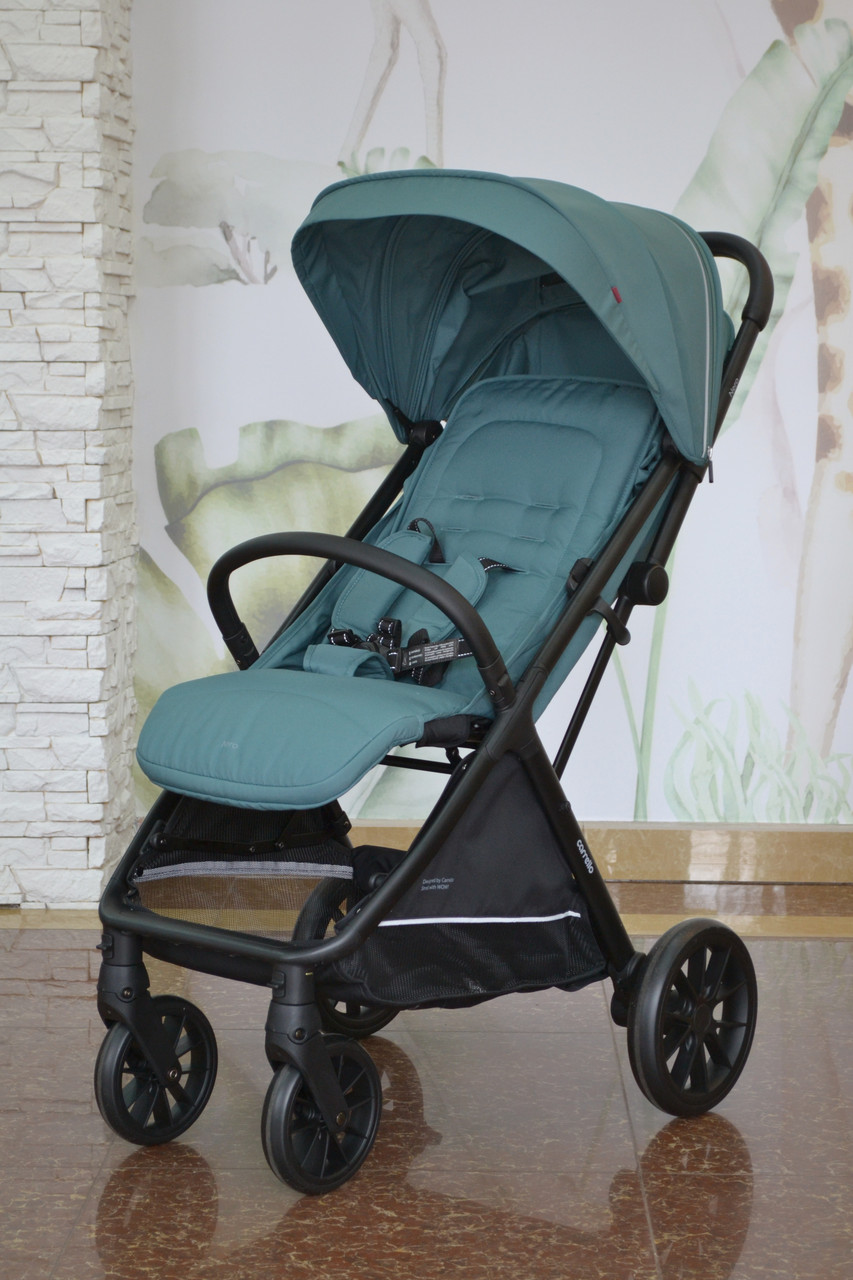 Прогулянкова коляска CARRELLO Nero CRL-5514, Pear Green, фото 1