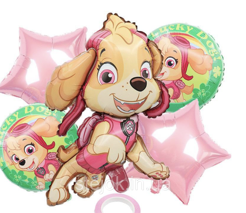 Набір куль Щенячий патруль Скай, фото 1