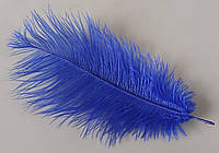 Перо страуса синее пастельное пуховое 25-30см