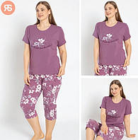 Пижама для Пышных Женщин Футболка с Капри 4420, Фиолетовый, 4XL
