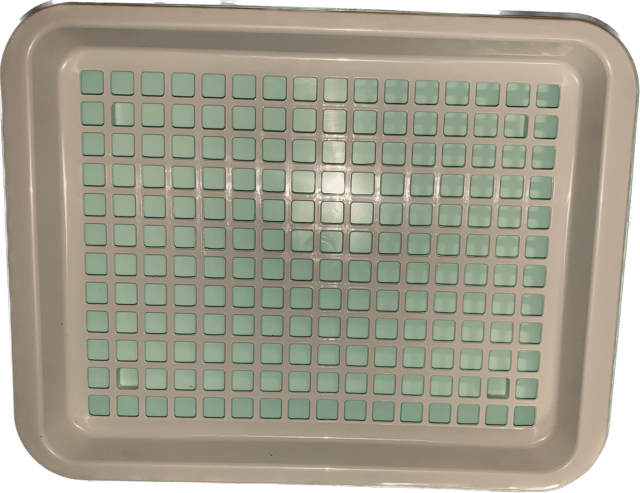 Лоток для фруктів і посуду 310 × 240 × 35 мм з піддоном бірюзовий, фото 1