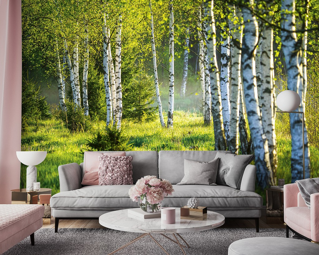 Флізелінові фотошпалери для кухні 368x254 см Дерева 3D Природа Березовий ліс та зелена трава (14174V8) Найкраща якість, фото 1