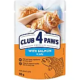 CLUB 4 PAWS PREMIUM Клуб 4 лапи вологий корм для котів з лососем в желе, 100 гр., фото 3