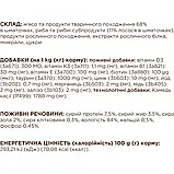 CLUB 4 PAWS PREMIUM Клуб 4 лапи вологий корм для котів з лососем в желе, 100 гр., фото 4