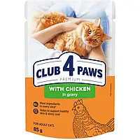 CLUB 4 PAWS PREMIUM Клуб 4 лапы влажный корм для котов с курицей в соусе, 85 гр