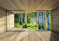 Флизелиновые фотообои красивые 368x254 см 3D Терраса Окно Березовый Лес Природа (14239V8) Клей в подарок