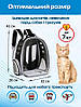 Прозорий рюкзак для перенесення тварин Pet Cat для котів та собак Black, фото 5