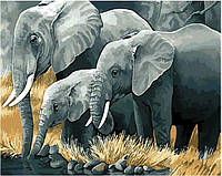 Картина Малювання за номерами Сім'я слонів 40*50 Номерні розмальовки Brushme GX3810
