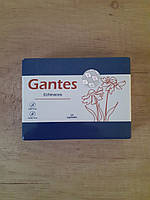 Gantes Echinacea противовирусное средство Гантес ехиноцея