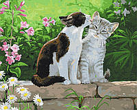 Картина Малювання за номерами Пара кошенят Картина в цифрах тварини Розмальовка 40х50 Brushme BS3251