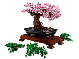 Конструктор LEGO Creator Expert 10281 Дерево бонсай LEGO Icons Bonsai Tree, фото 3