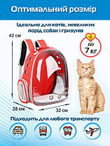 Прозорий рюкзак для перенесення тварин Pet Cat для котів та собак Red УЦІНКА, фото 4