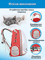 Прозорий рюкзак для перенесення тварин Pet Cat для котів та собак Red УЦІНКА, фото 6