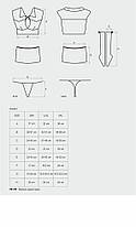 Еротичний костюм студентки Obsessive Student 4 pcs costume S/M, топ, спідниця, стрінги, гольфи, фото 5