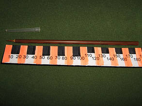 Пензель для каліграфії