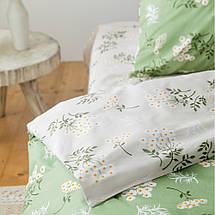 Постільна білизна двоспальне ТЕП Everyday collection Gaisy 2-03741-24042 180х215 см ID 4505866, фото 4