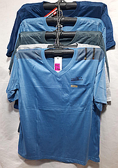 Чоловіча котонова футболка БАТАЛ T12-24 (в уп. різнi кольори) вир-во В'єтнам.