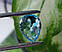 Натуральний топаз 14.20 ct 17.8x13 mm, фото 7
