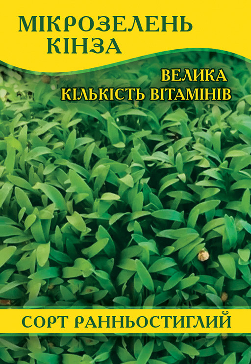 Насіння мікрозелень Кінза, 0,1 кг