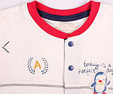 Aziz — стильний комплект для малюка 2 предмети, зріст 80, фото 2