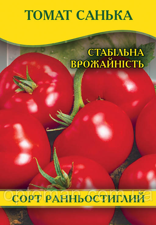Сорт Санька Фото