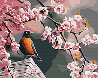 Картина Рисование по номерам Снегирь и сакура Картины в цифрах Раскраска птицы Brushme BS52216