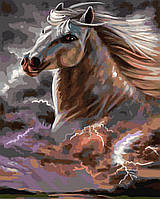 Картина Рисование по номерам Свободный конь Картины по номерам 40х50 Rainbow Art GX36495