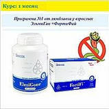 ElmiGone (120)/ ЕльміГон (ЕльміГан): Santegra протипаразитарний і протиглистій засіб;, фото 3