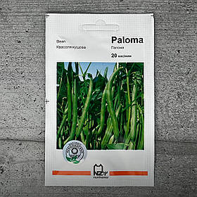 Квасоля Палома 20 шт насіння пакетоване Nunhems Агропак
