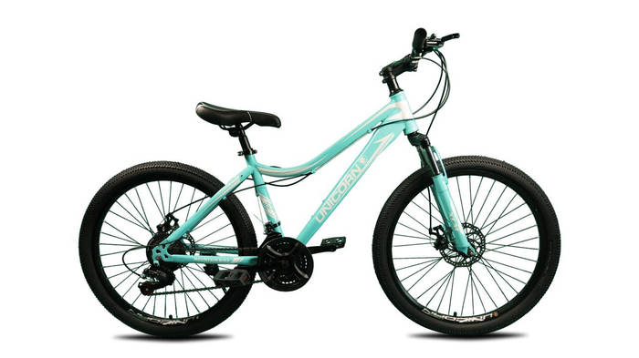 Подростковый горный велосипед Smart rider 24 Unicorn бирюзовый (ID ...