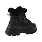 Черевики жіночі Farinni чорні натуральна шкіра, 39, фото 4