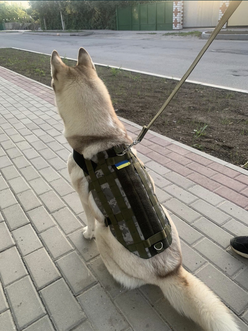 Собачий тактичний жилет К9 — Армійський жилет для собаки