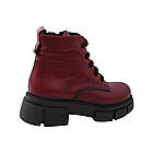 Черевики жіночі Euromoda бордові натуральна шкіра, 36, фото 4