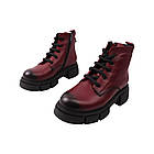 Черевики жіночі Euromoda бордові натуральна шкіра, 36, фото 5