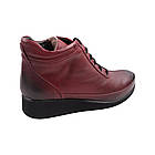 Черевики жіночі Euromoda бордові натуральна шкіра, 41, фото 4